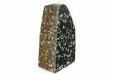 Free-Standing Polished Chinese Writing Rock - Australia #353398-1